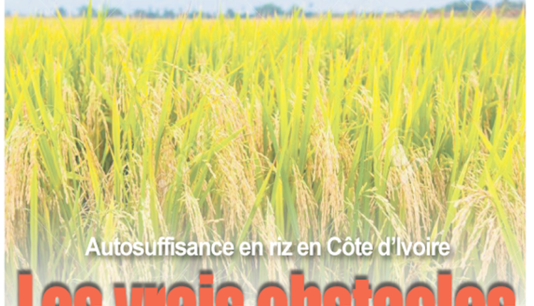 Le journal Voix du Planteur prêt pour accompagner le monde agricole, animal, halieutique, environnemental et du développement durable.