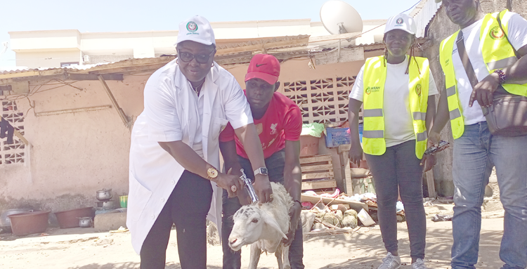 Eradication de la PPR à Grand-Bassam