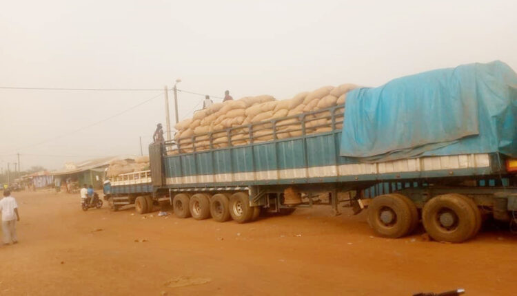 Commercialisation de la noix de cajou 2025