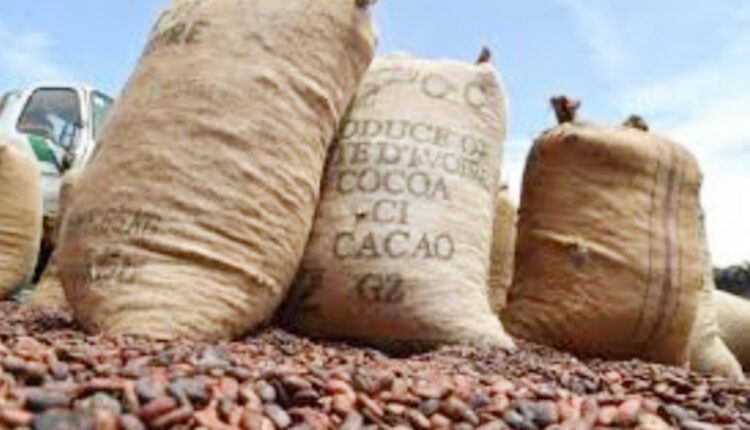 Prix bord champ du cacao 2026